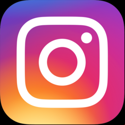 Ícone Instagram